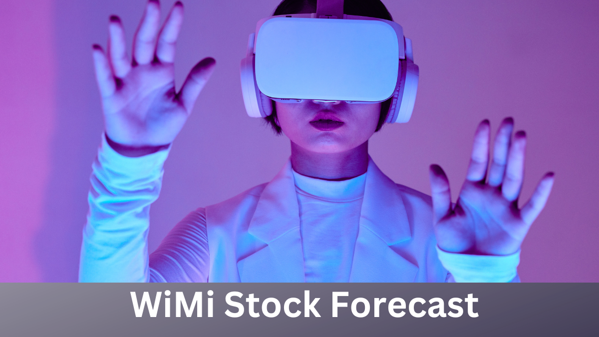 WiMi Stock Forecast-technosoch.com-