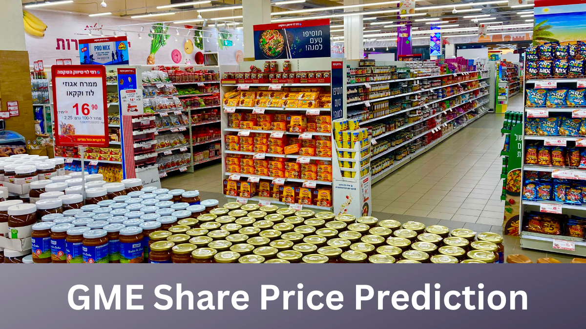 GME Share Price Prediction-technosoch.com-