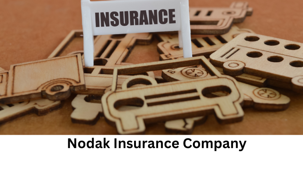 Nodak Insurance Company-technosoch.com-