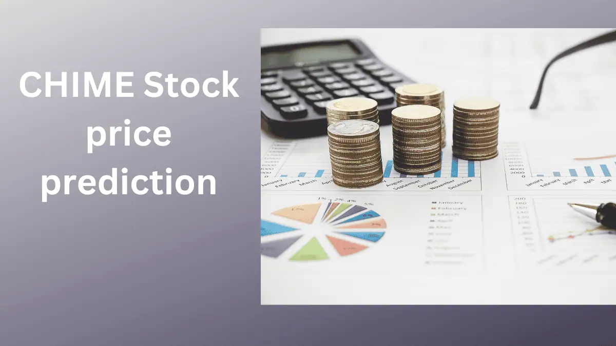 Chime Stock Price Prediction-technosoch.com-.png